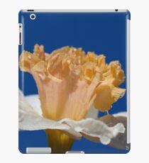 Final Chapter iPad Case/Skin