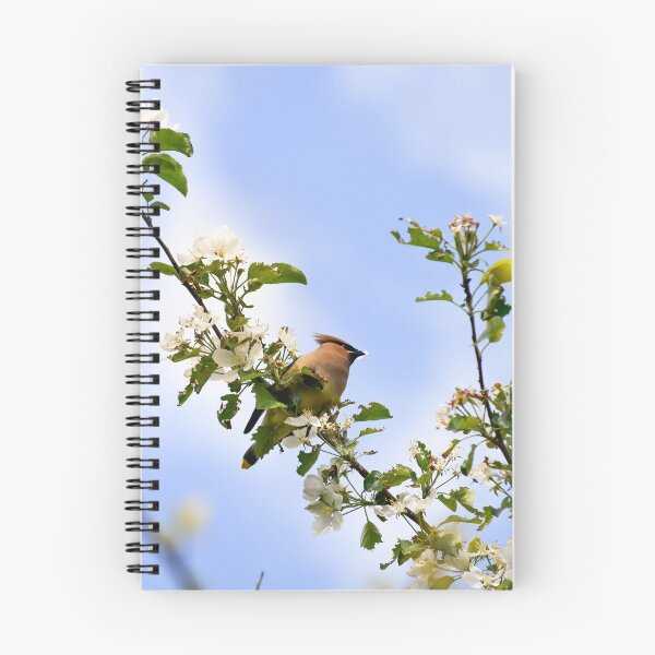 Item preview, Wax wing designed and sold by ChicksPhoto.