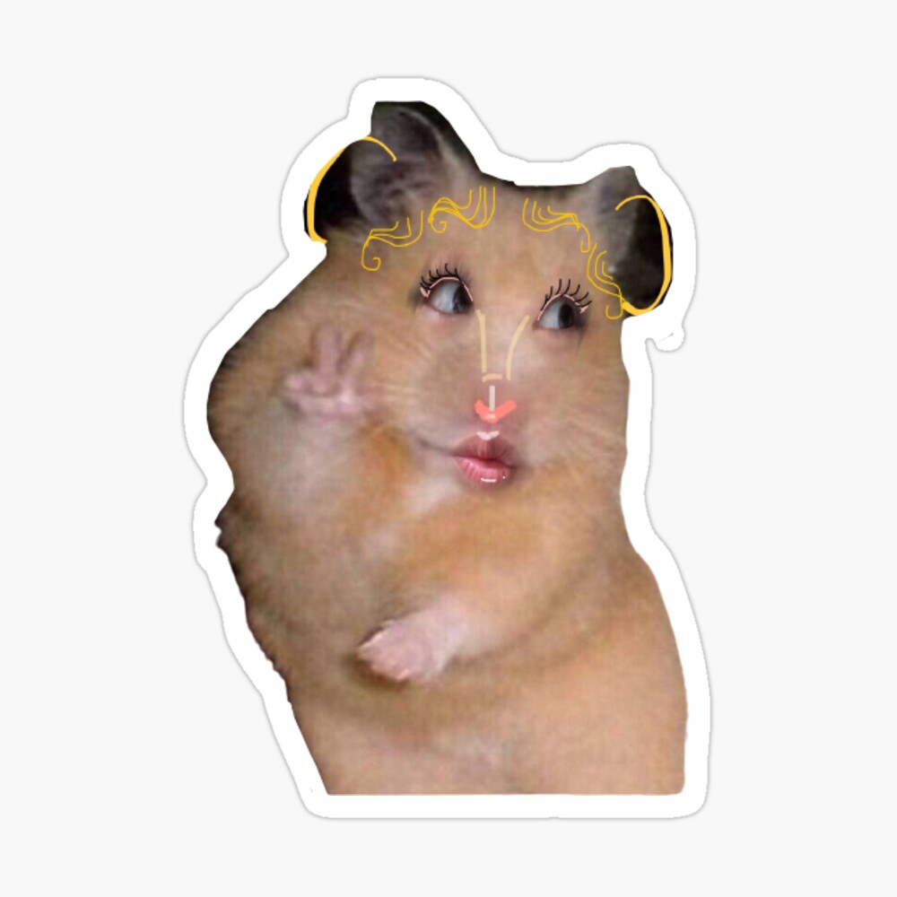 hamster" Magnet for Sale by gabbyxma Redbubble