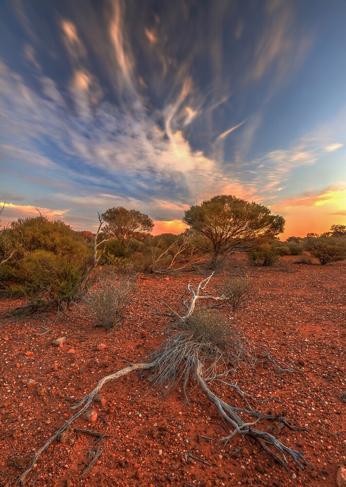 "Sunset, Great Victoria Desert, WA" by Kevin McGennan | Redbubble