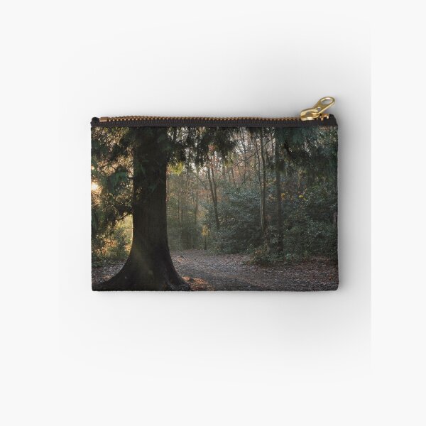Item preview, Sun break through coniferous wood designed and sold by miradorpictures.