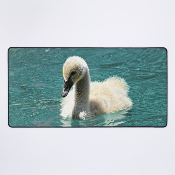 Item preview, Black Swan Cygnet Swimming Portrait designed and sold by Anna Lemos.