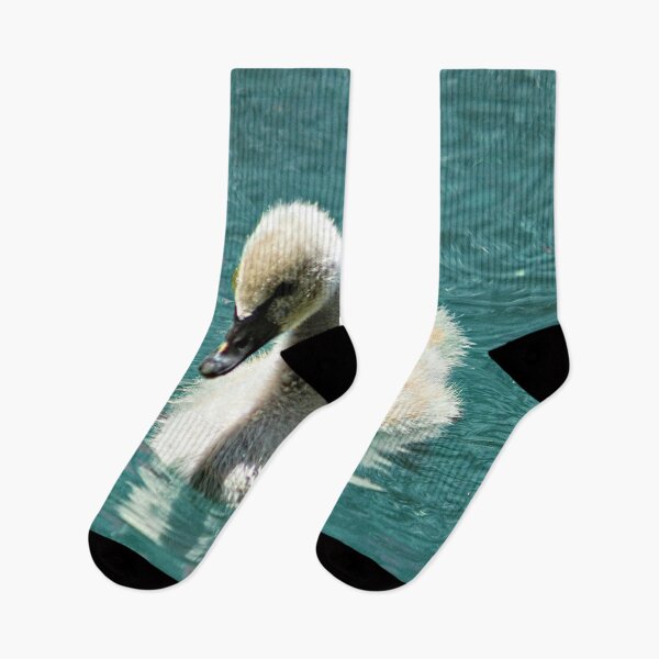 Item preview, Black Swan Cygnet Swimming Portrait designed and sold by Anna Lemos.