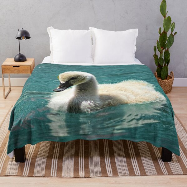 Item preview, Black Swan Cygnet Swimming Portrait designed and sold by Anna Lemos.