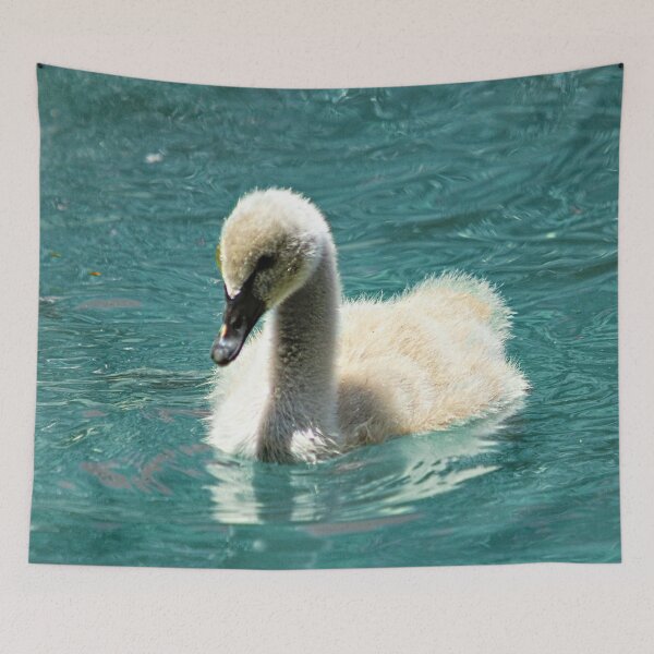 Item preview, Black Swan Cygnet Swimming Portrait designed and sold by Anna Lemos.