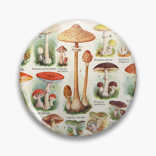 Item preview, Mushroom illustration Larousse - French vintage poster designed and sold by DejaVuStudio.