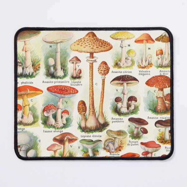 Item preview, Mushroom illustration Larousse - French vintage poster designed and sold by DejaVuStudio.