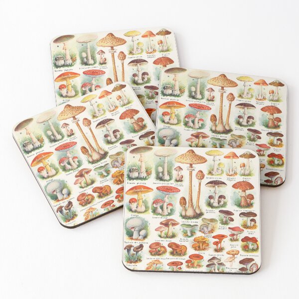 Item preview, Mushroom illustration Larousse - French vintage poster designed and sold by DejaVuStudio.