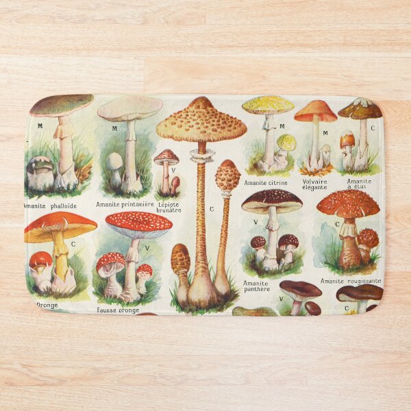 Item preview, Mushroom illustration Larousse - French vintage poster designed and sold by DejaVuStudio.