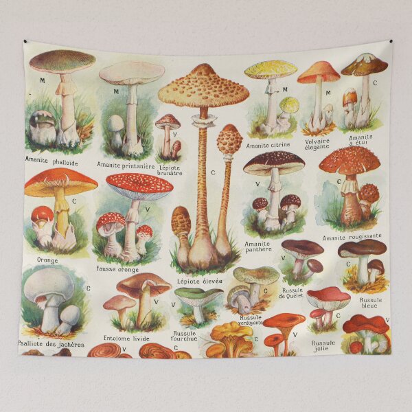 Item preview, Mushroom illustration Larousse - French vintage poster designed and sold by DejaVuStudio.