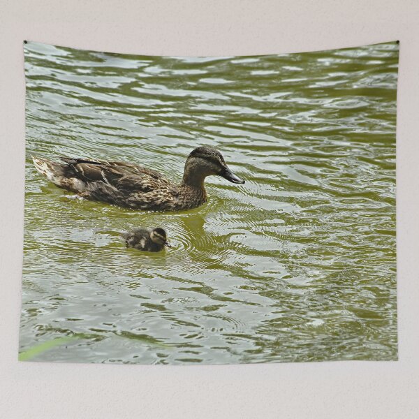 Item preview, Mallard Duck Mother and Duckling Swimming designed and sold by Anna Lemos.