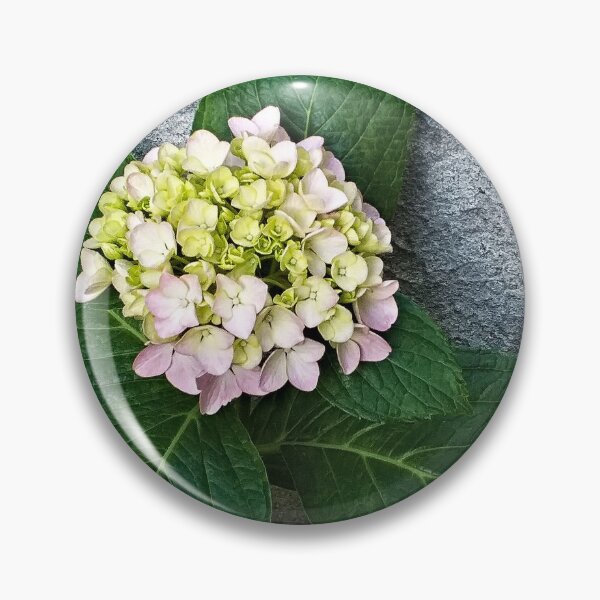 Item preview, Hydrangea Flower Flowering Garden Plant designed and sold by Anna Lemos.