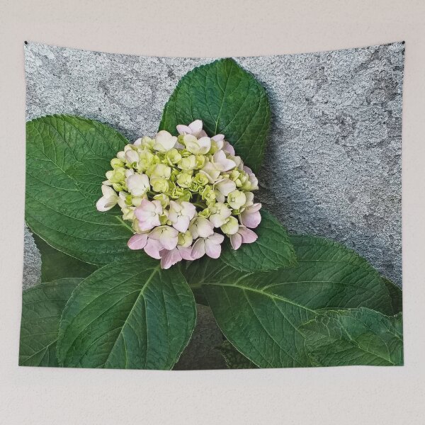 Item preview, Hydrangea Flower Flowering Garden Plant designed and sold by Anna Lemos.