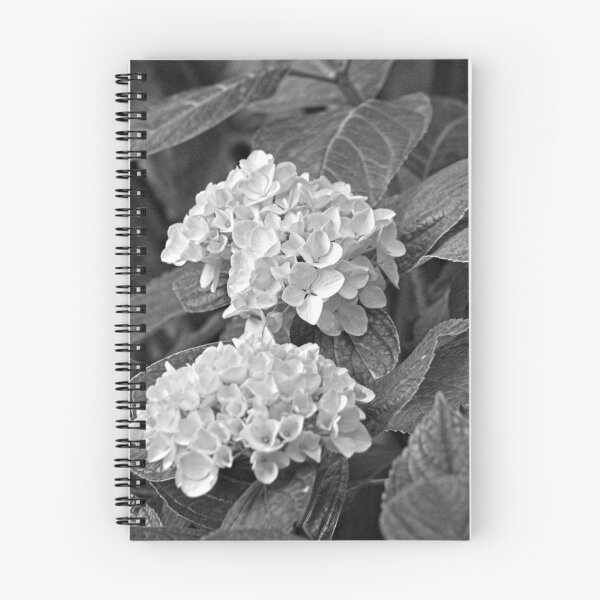 Item preview, Hydrangeas Garden Summer Flowers  designed and sold by Anna Lemos.