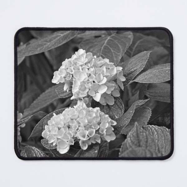 Item preview, Hydrangeas Garden Summer Flowers  designed and sold by Anna Lemos.
