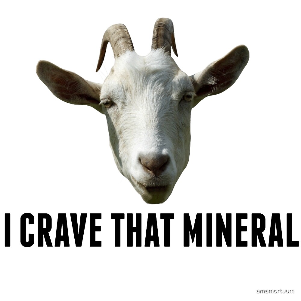 Crave перевод. I crave that Mineral. Гоат Мем. G.O.A.T Мем. Standing Goat meme.