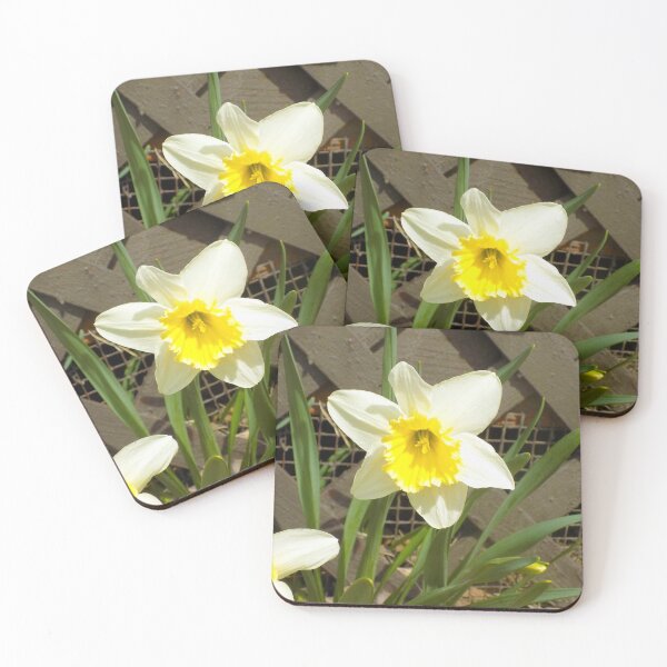 Item preview, Daffodil! designed and sold by maxhudsonphoto.