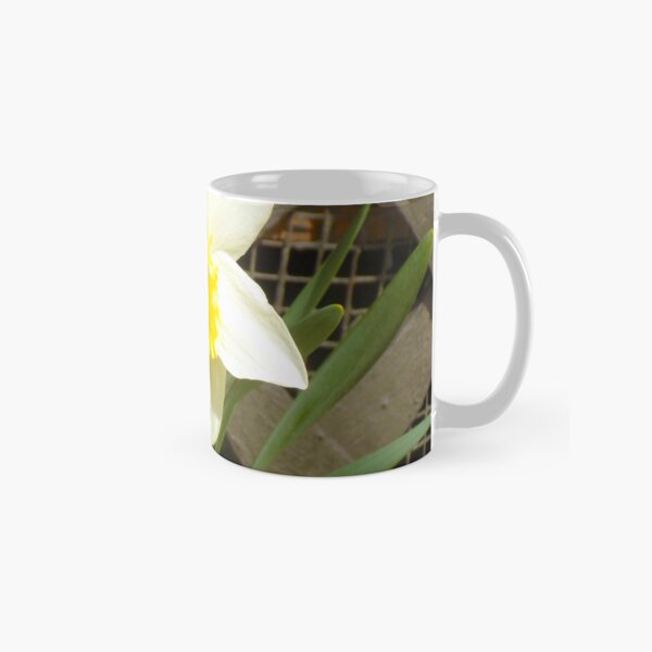 Item preview, Daffodil! designed and sold by maxhudsonphoto.