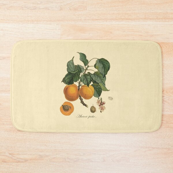 Item preview, Apricot-peach vintage botanical illustration designed and sold by anthologies.