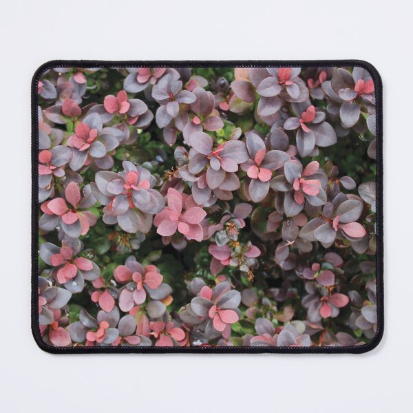 Item preview, Japanese Barberry designed and sold by RoseyElisabeth.