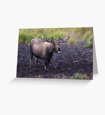 Merry Moose Greeting Card