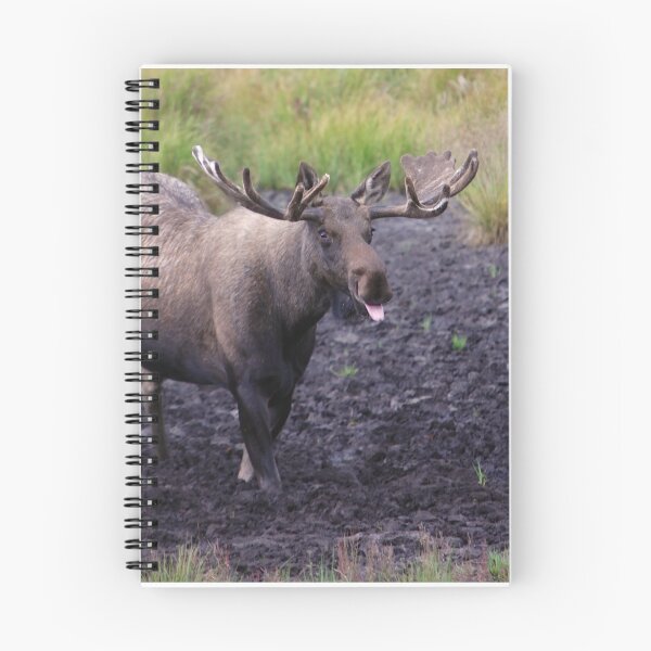Item preview, Merry Moose designed and sold by Spring Reilly.