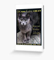 Rescue, Foster, Adopt Greeting Card