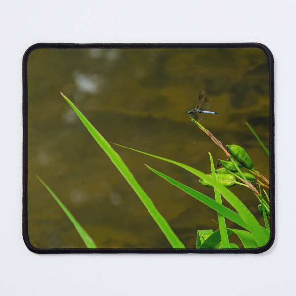 Item preview, Blue Dragonfly on a Blade of Grass near a Pond designed and sold by HootenannyPhoto.
