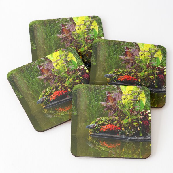 Item preview, Green Night Heron on a Floating Island in a Pond designed and sold by HootenannyPhoto.