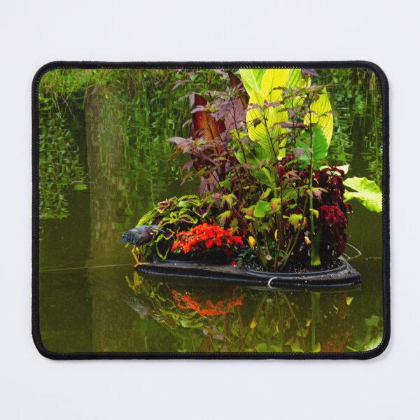 Item preview, Green Night Heron on a Floating Island in a Pond designed and sold by HootenannyPhoto.