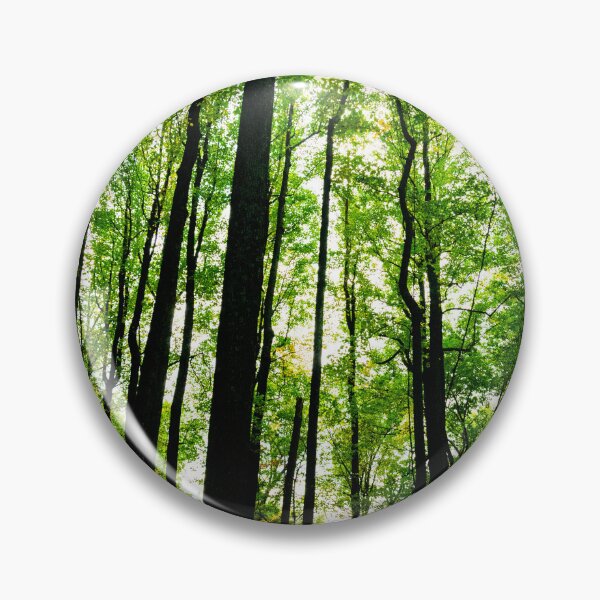 Item preview, Poplar Grove in the Spring Shenandoah National Park designed and sold by HootenannyPhoto.