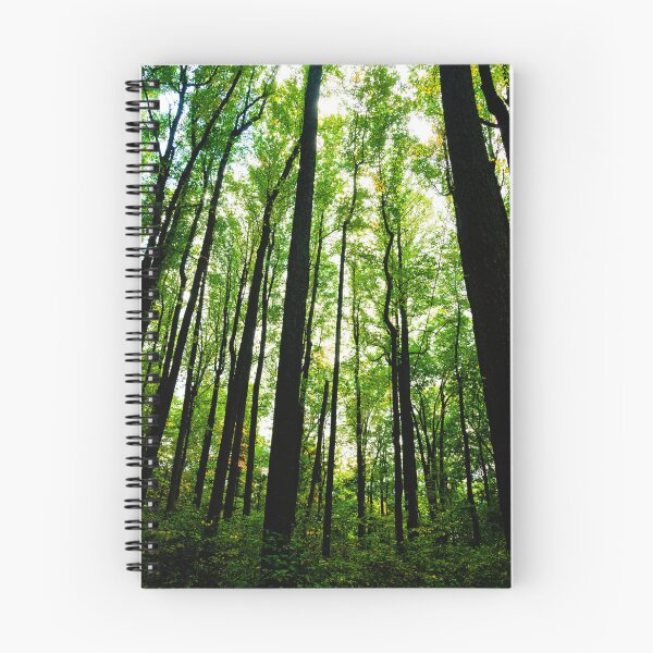 Item preview, Poplar Grove in the Spring Shenandoah National Park designed and sold by HootenannyPhoto.