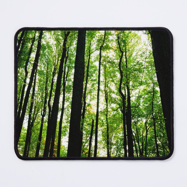 Item preview, Poplar Grove in the Spring Shenandoah National Park designed and sold by HootenannyPhoto.