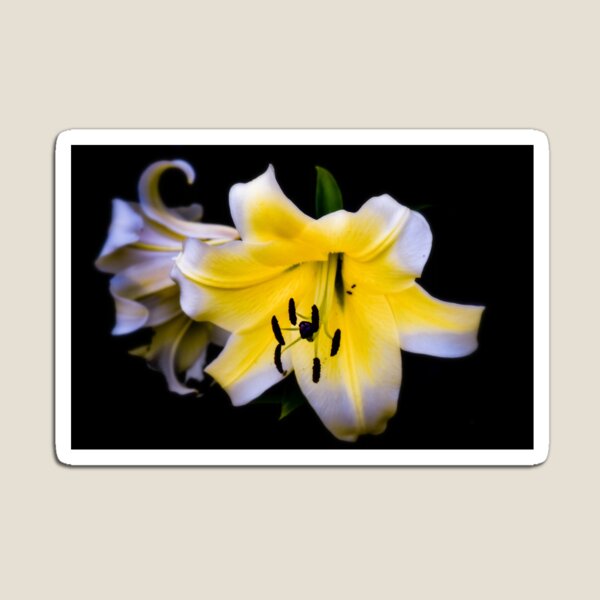 Item preview, Cohetes amarillos designed and sold by ChicksPhoto.