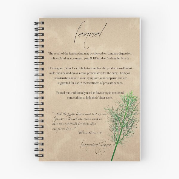 Item preview, Herbal Apothecary: Fennel designed and sold by FigTreeMagick.