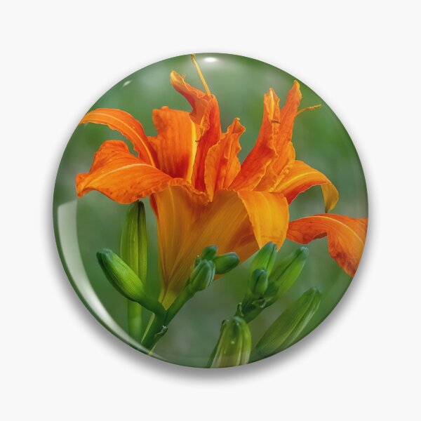 Item preview, Backyard Beauty designed and sold by Lanis Rossi.