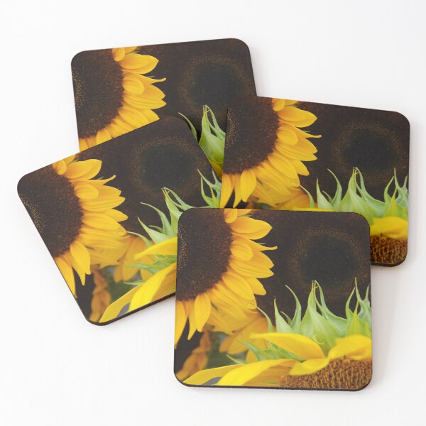 Item preview, Trio designed and sold by John Schneider.