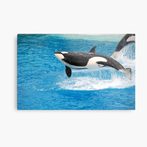 Arcs Metal Print
