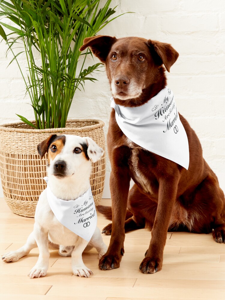 My humans are 2025 getting married dog bandana