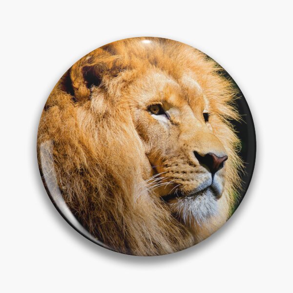 Item preview, ANIMALS #50 - Majestic Male Lion designed and sold by DEL-Productions.