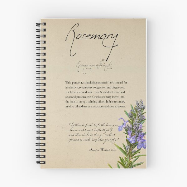 Item preview, Herbal Apothecary: Rosemary designed and sold by FigTreeMagick.