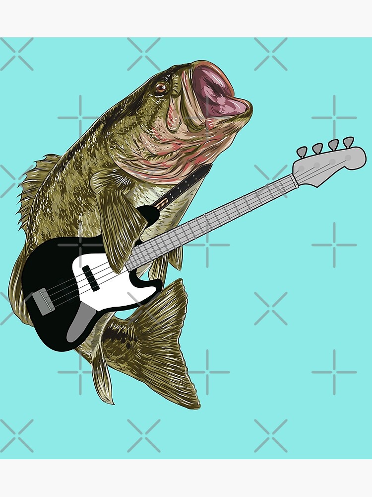 Bassist Bass (sea bass) | Photographic Print