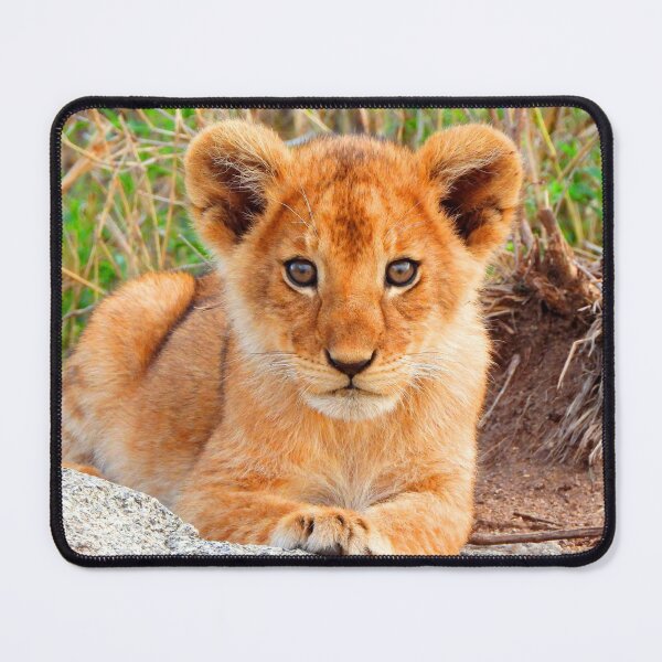 Item preview, ANIMALS #47 - Adorable Lion Cub designed and sold by DEL-Productions.