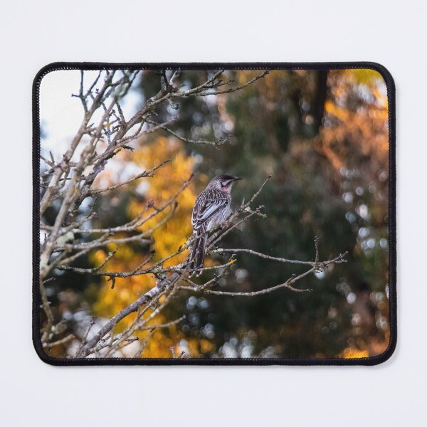 Item preview, Red Wattlebird in Late Winter designed and sold by FigTreeMagick.