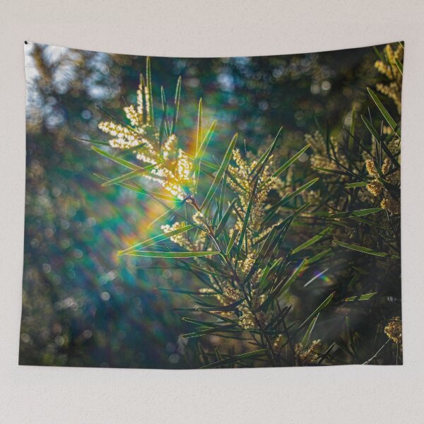 Item preview, Currawang Acacia Tree with Beautiful Rainbow Lens Flare designed and sold by FigTreeMagick.