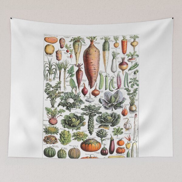 Item preview, Kitchen Vegetable Identification Reference Chart Botanical designed and sold by wickeddecent.
