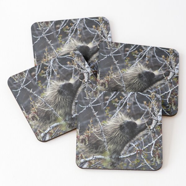 Item preview, Porcupine designed and sold by Alyce Taylor.