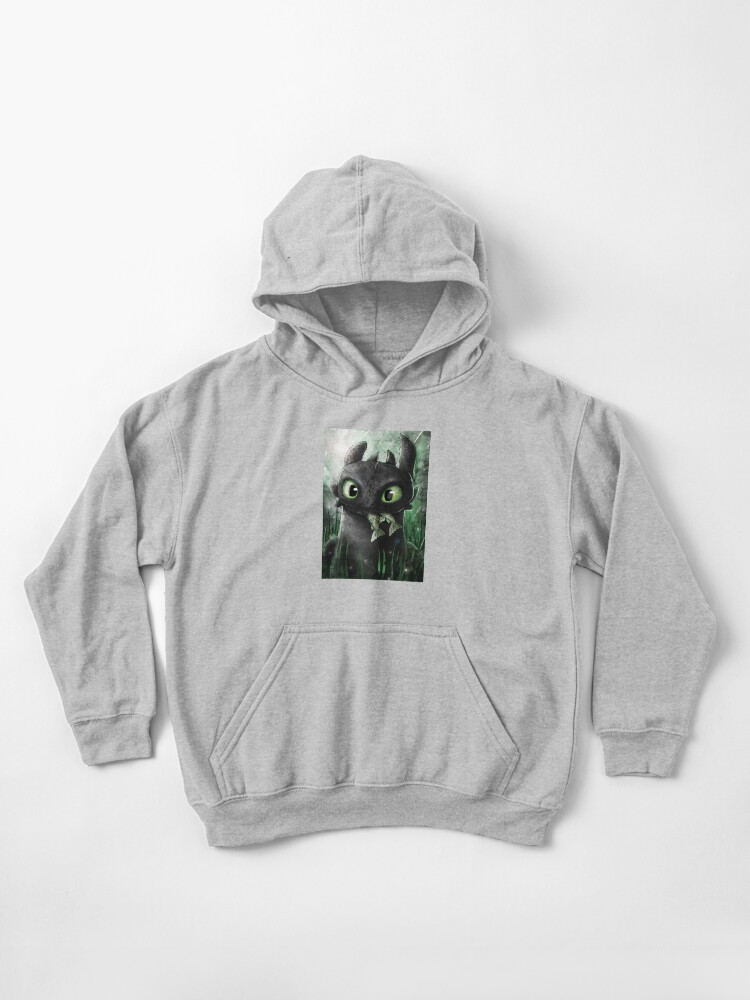 How To Train Your Dragon Toothless Best Gifts For Men Women Kids Pullover Hoodie