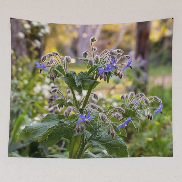 Item preview, Purple Flowering Borage in Sunlit Gardens designed and sold by FigTreeMagick.