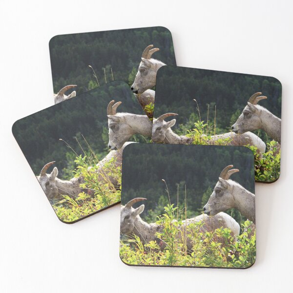 Item preview, Waterton Kids designed and sold by Alyce Taylor.